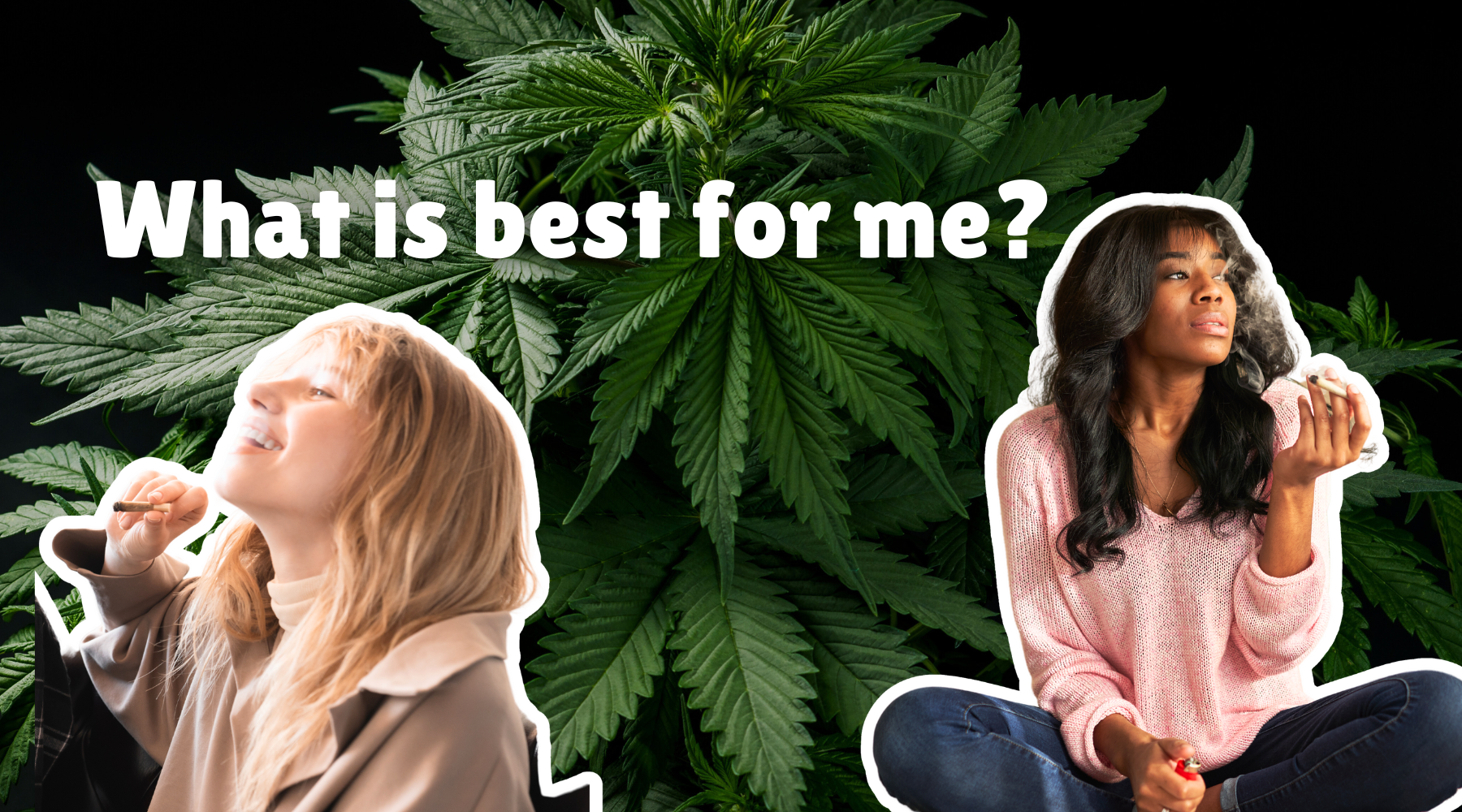How To Choose Between Sativa, Indica, And Hybrid THC