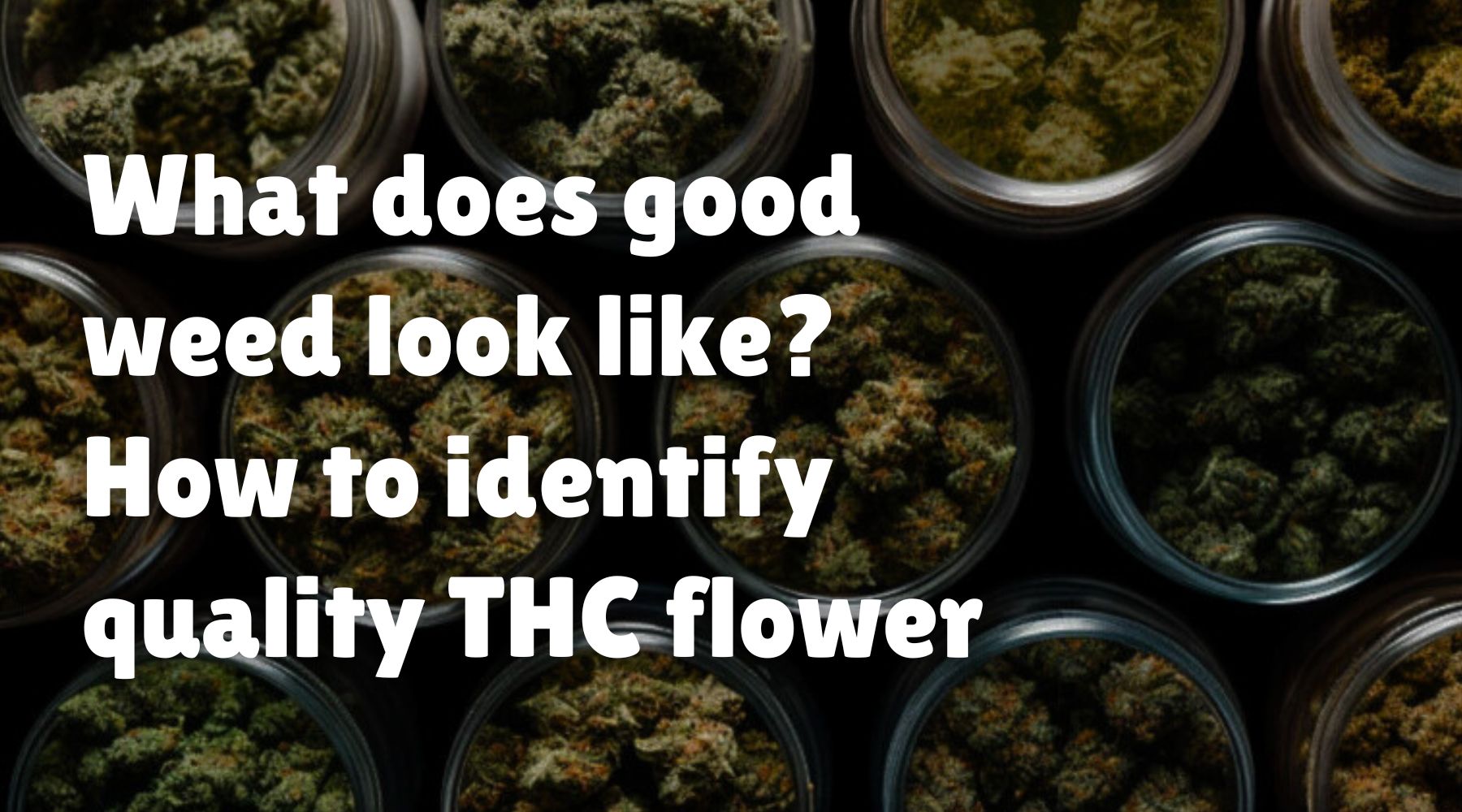 What Does Good Weed Look Like? How To Identify Quality THC Flower