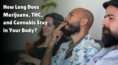 How Long Does Marijuana, THC, and Cannabis Stay in Your Body?