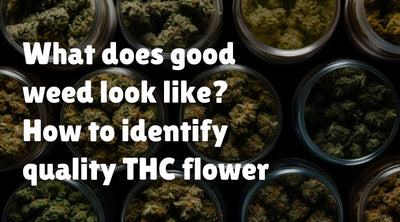 What Does Good Weed Look Like? How To Identify Quality THC Flower
